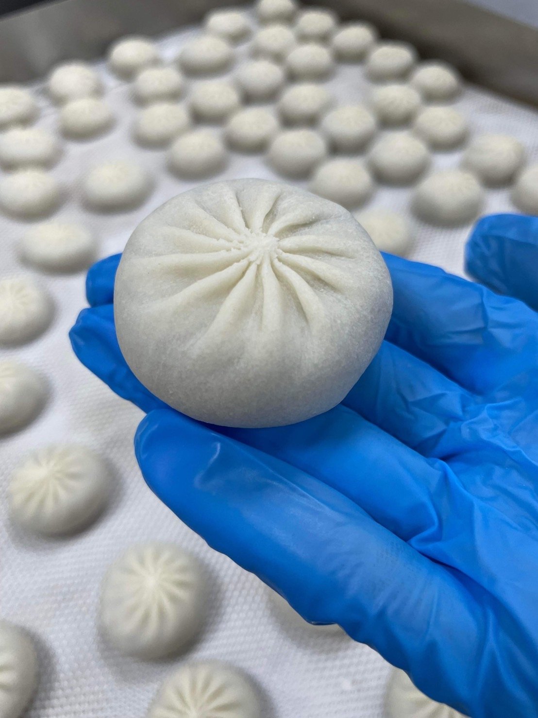 Close-up of a hand in a blue glove holding a perfectly pleated Xiao Long Bao dumpling. Dim sum OEM.